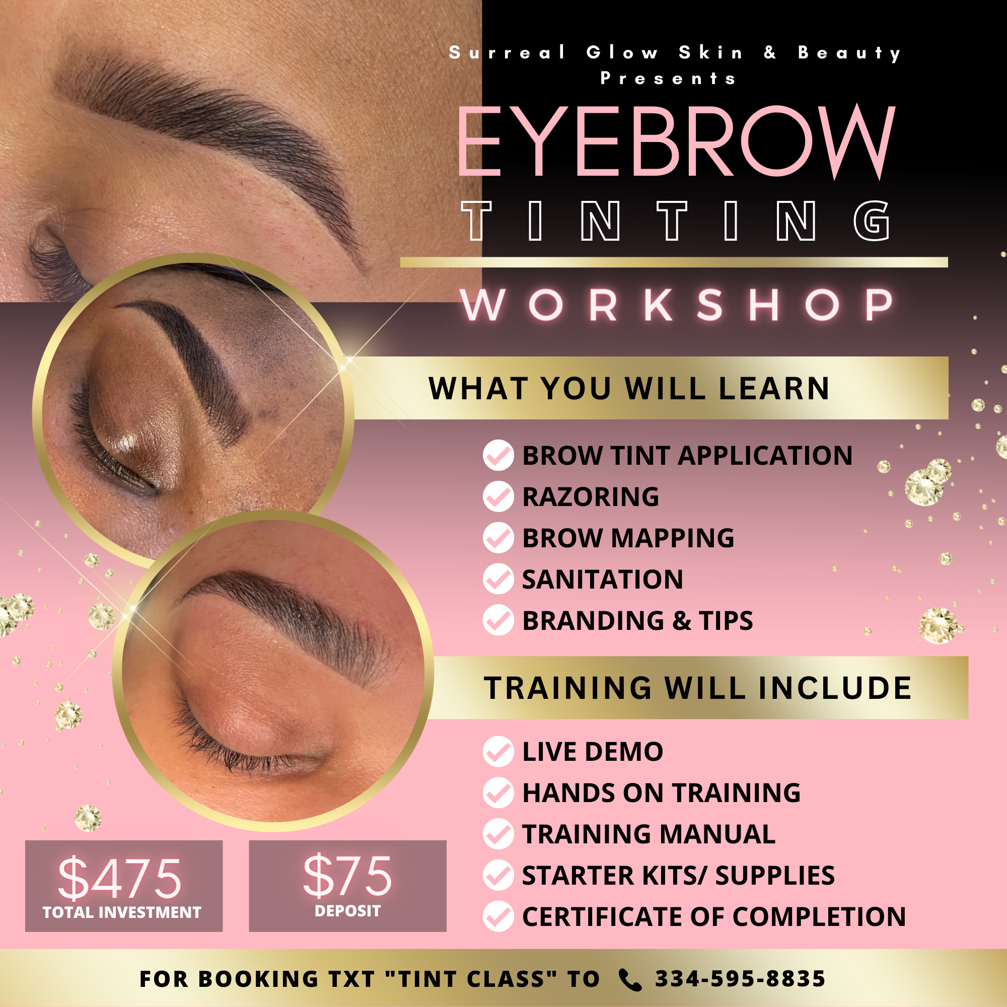 Eye Brow Tinting Workshop